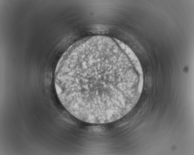 X0000116510652201001201446