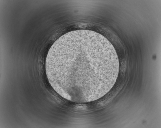 X0000116510653201001201446