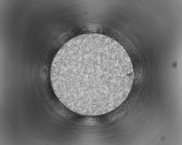 X0000116510656201001201446
