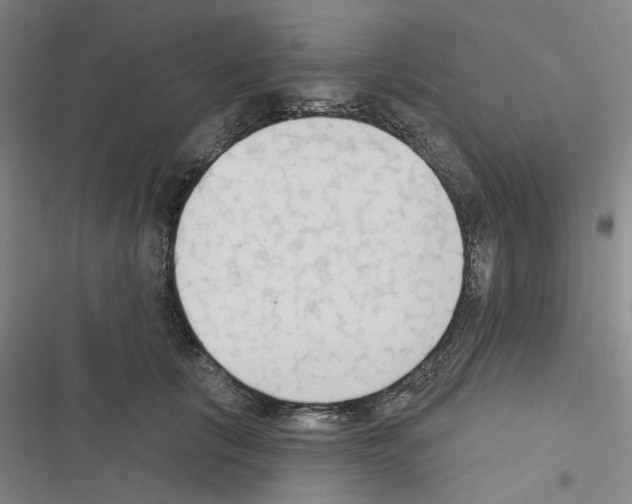 X0000116510657201001201446
