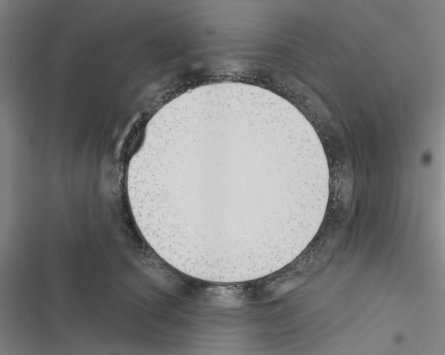 X0000116510660201001201446
