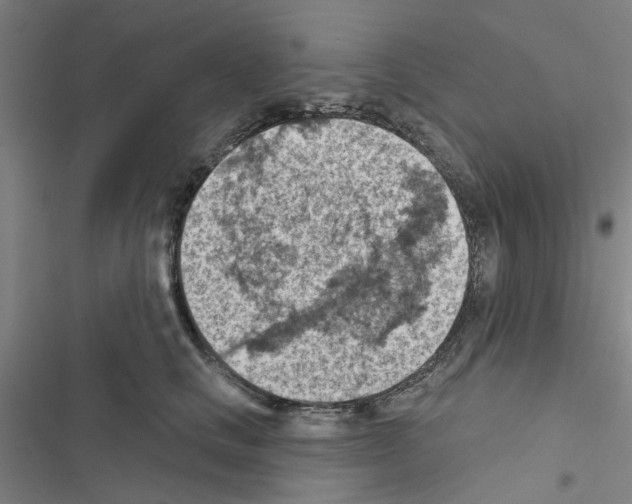 X0000116510661201001201446