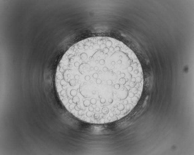 X0000116510662201001201446