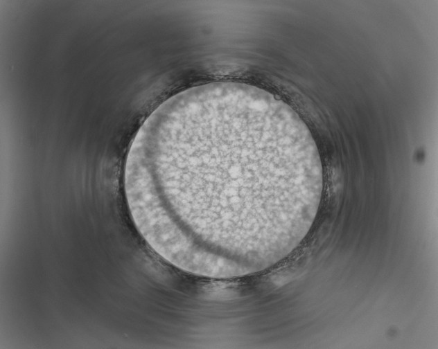 X0000116510664201001201446
