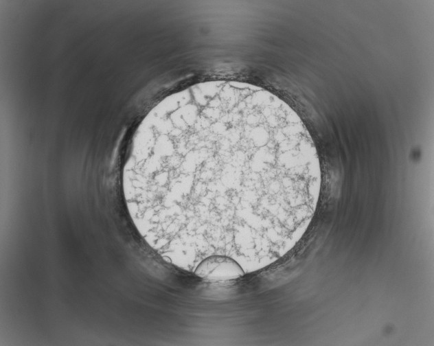 X0000116510665201001201446