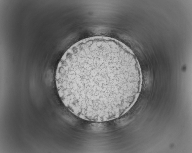X0000116510667201001201446