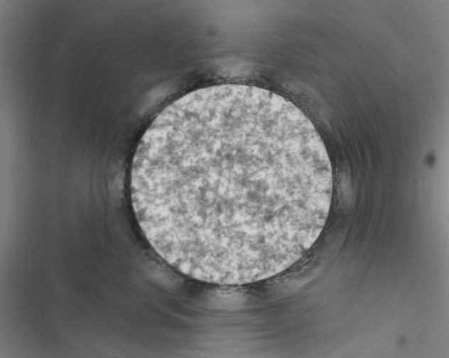 X0000116510668201001201446