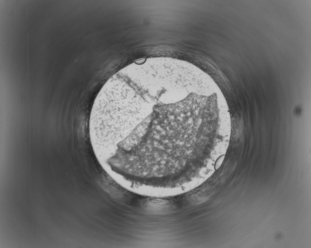X0000116510669201001201446