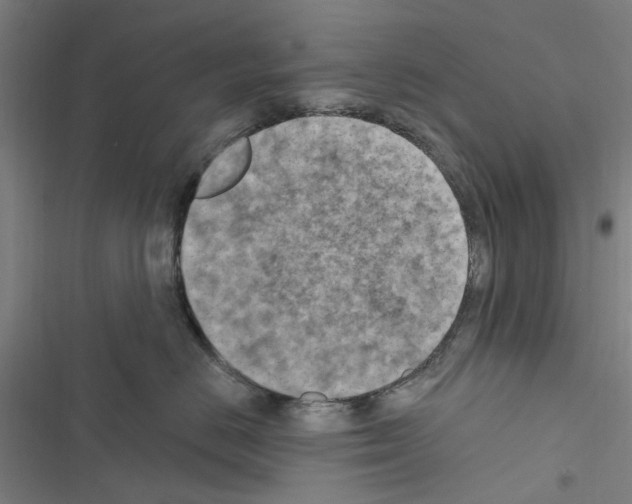 X0000116510670201001201446