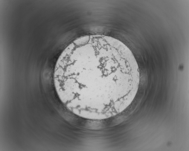 X0000116510671201001201446