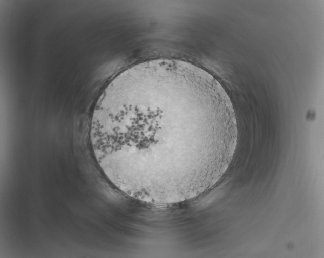 X0000116510672201001201446
