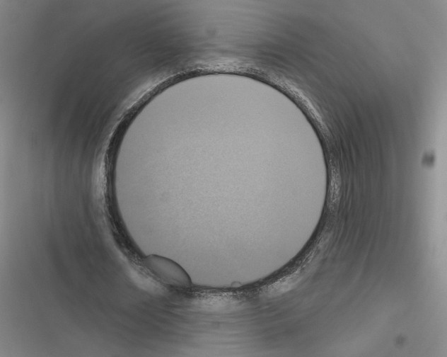 X0000116510674201001201446