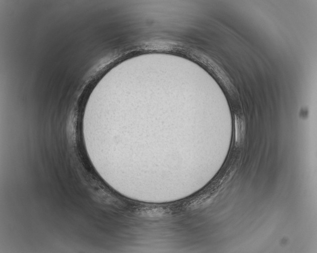 X0000116510675201001201446