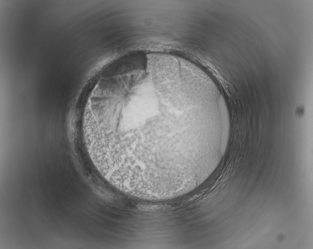 X0000116510679201001201445