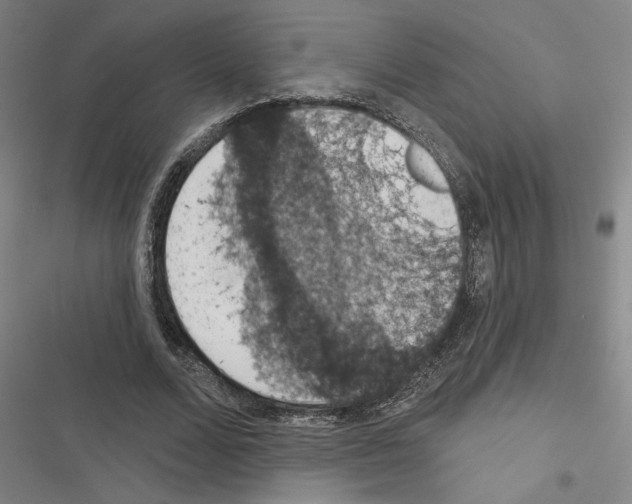 X0000116510680201001201445