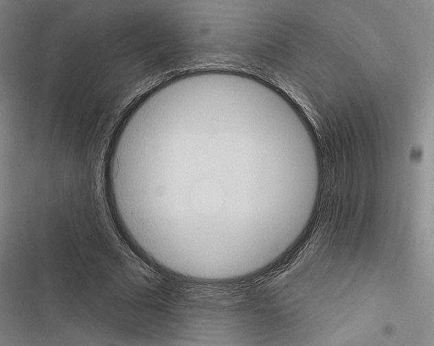 X0000116510681201001201445