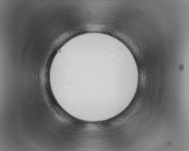 X0000116510682201001201445