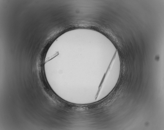 X0000116510683201001201445