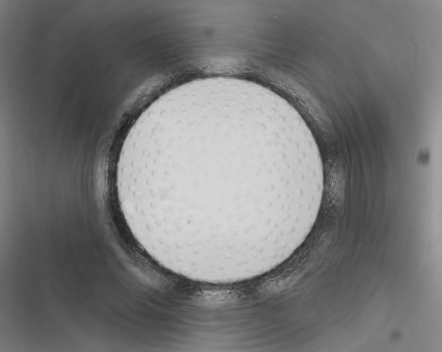 X0000116510686201001201445