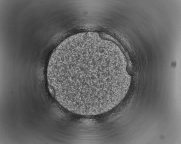 X0000116510689201001201445