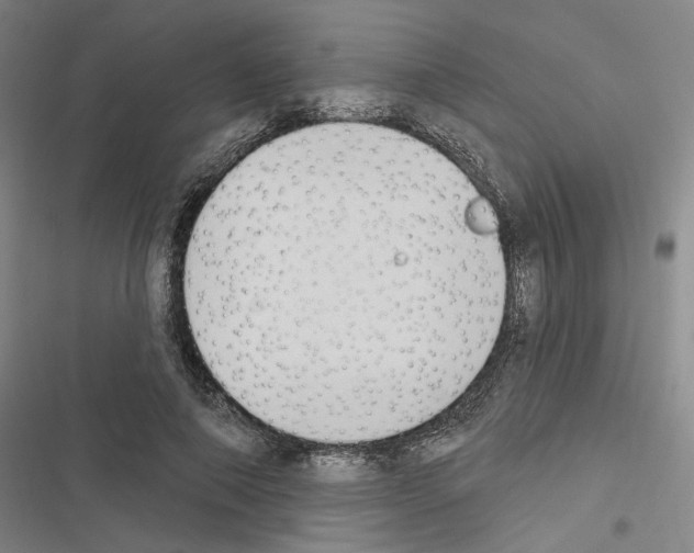 X0000116510690201001201445