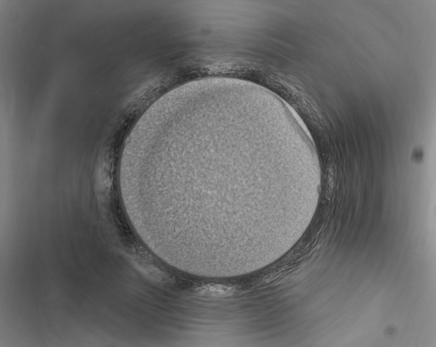 X0000116510691201001201445
