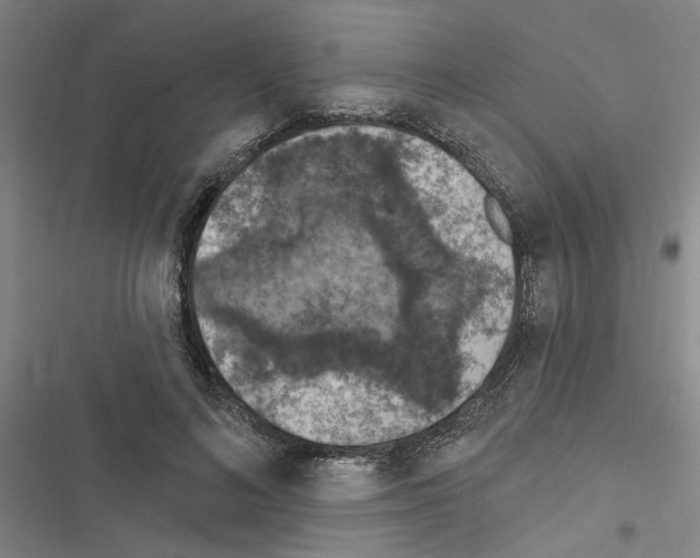 X0000116510692201001201445