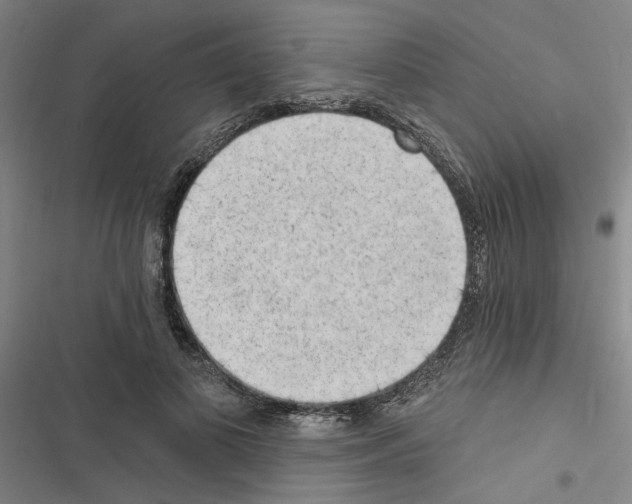 X0000116510693201001201445