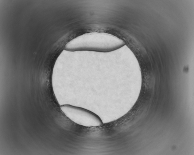 X0000116510697201001201445