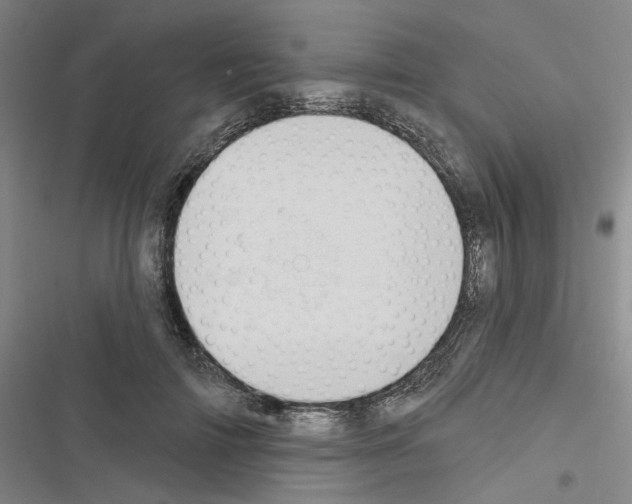 X0000116510698201001201445