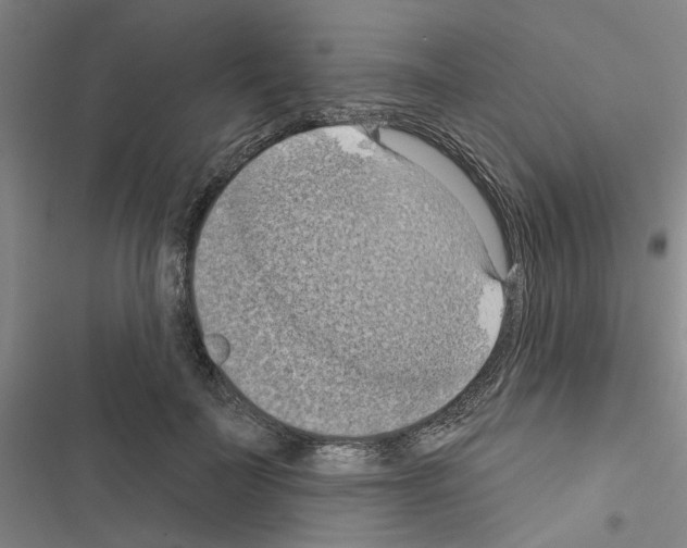X0000116510699201001201445
