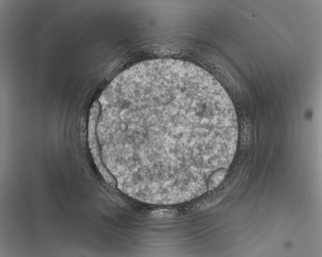 X0000116510700201001201445