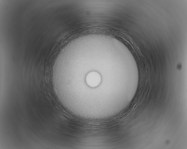 X0000116510701201001201445
