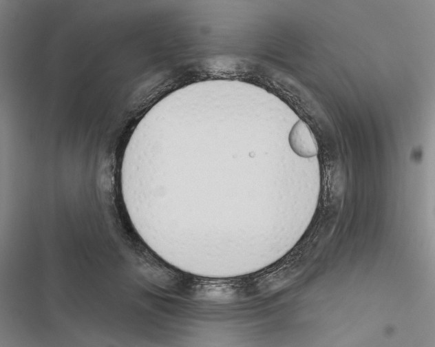 X0000116510702201001201445