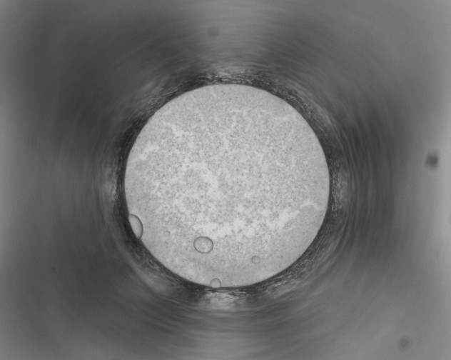 X0000116510703201001201445
