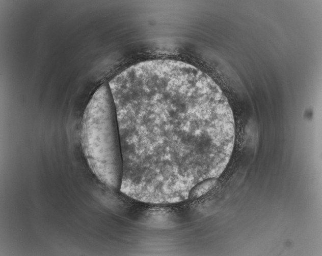 X0000116510704201001201445