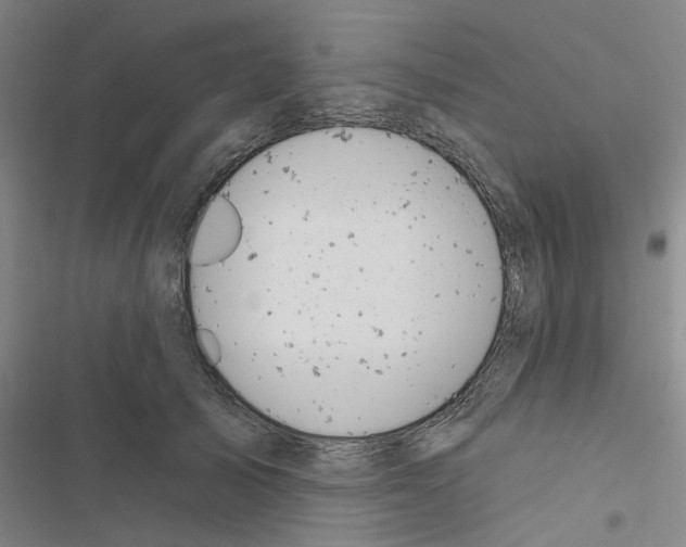 X0000116510705201001201445