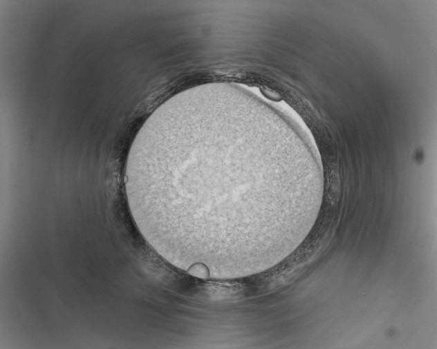 X0000116510707201001201445