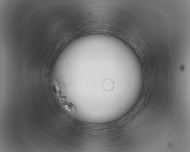 X0000116510709201001201445