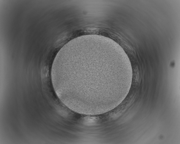 X0000116510711201001201445