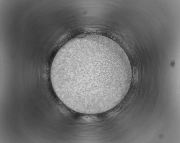 X0000116510712201001201445