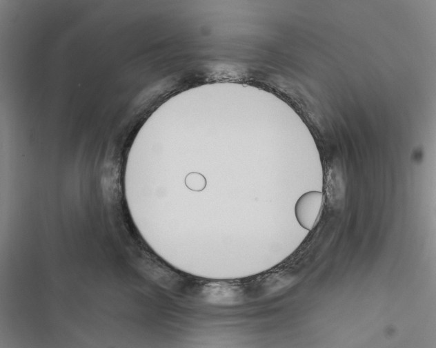 X0000116510714201001201445
