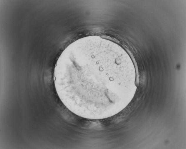 X0000116510715201001201445