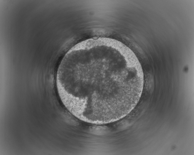 X0000116510716201001201445