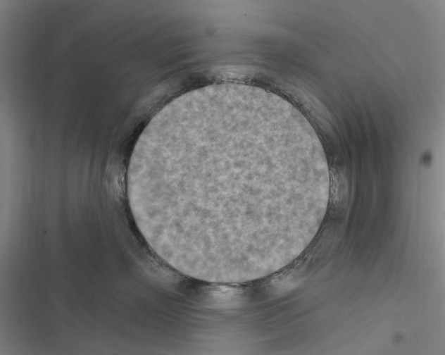 X0000116510718201001201445