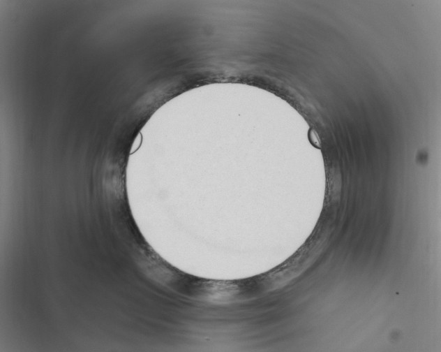 X0000116510719201001201445