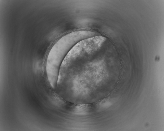 X0000116510720201001201445