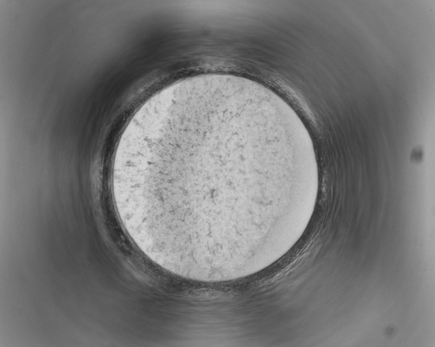 X0000116510722201001201444