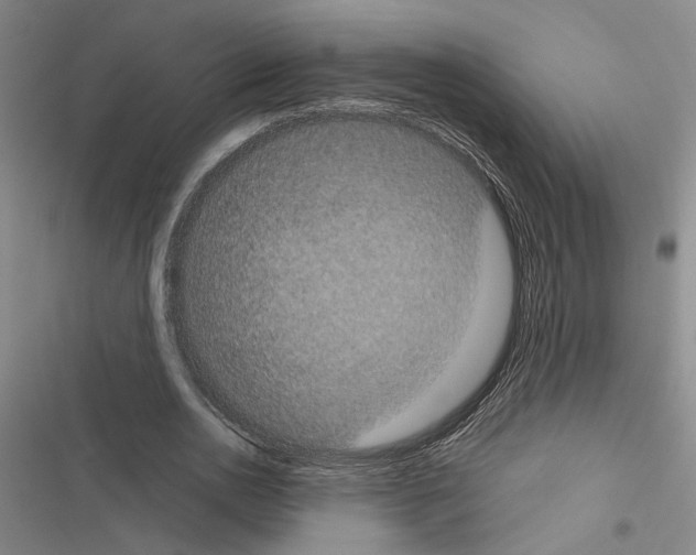 X0000116510726201001201444