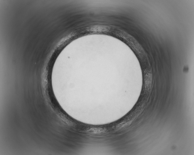 X0000116510727201001201444